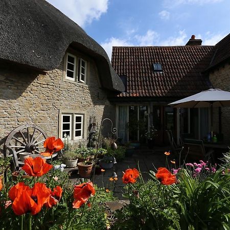 لاكوك Thatch Cottage المظهر الخارجي الصورة