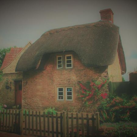 لاكوك Thatch Cottage المظهر الخارجي الصورة
