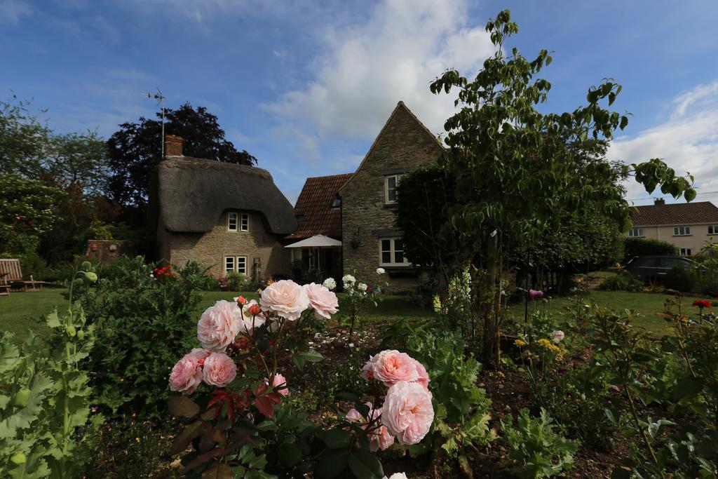 لاكوك Thatch Cottage المظهر الخارجي الصورة