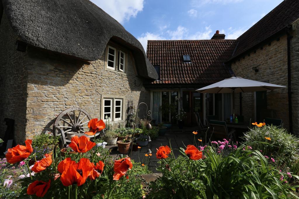 لاكوك Thatch Cottage المظهر الخارجي الصورة