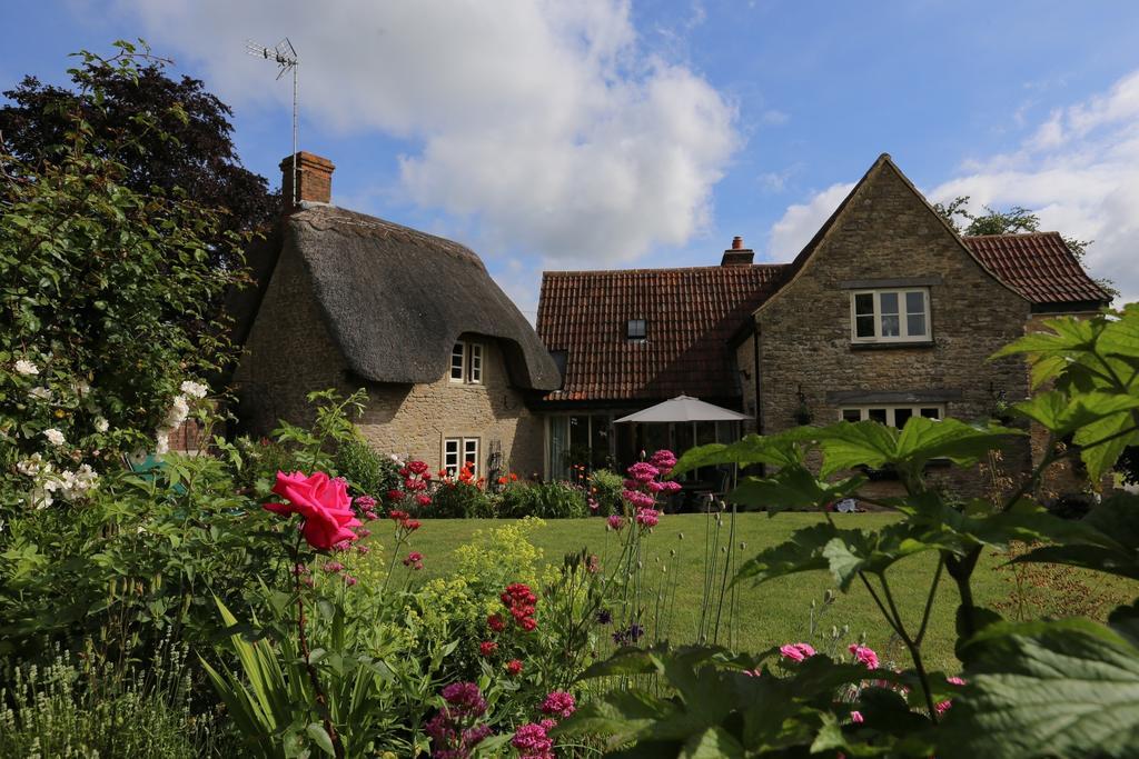 لاكوك Thatch Cottage المظهر الخارجي الصورة