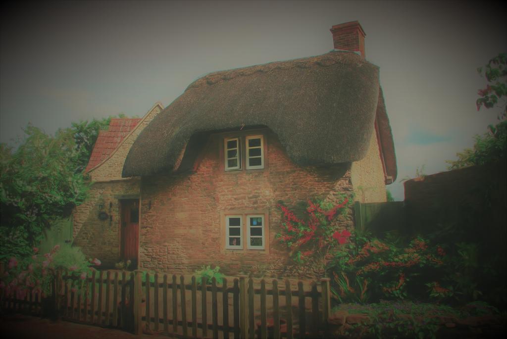 لاكوك Thatch Cottage المظهر الخارجي الصورة